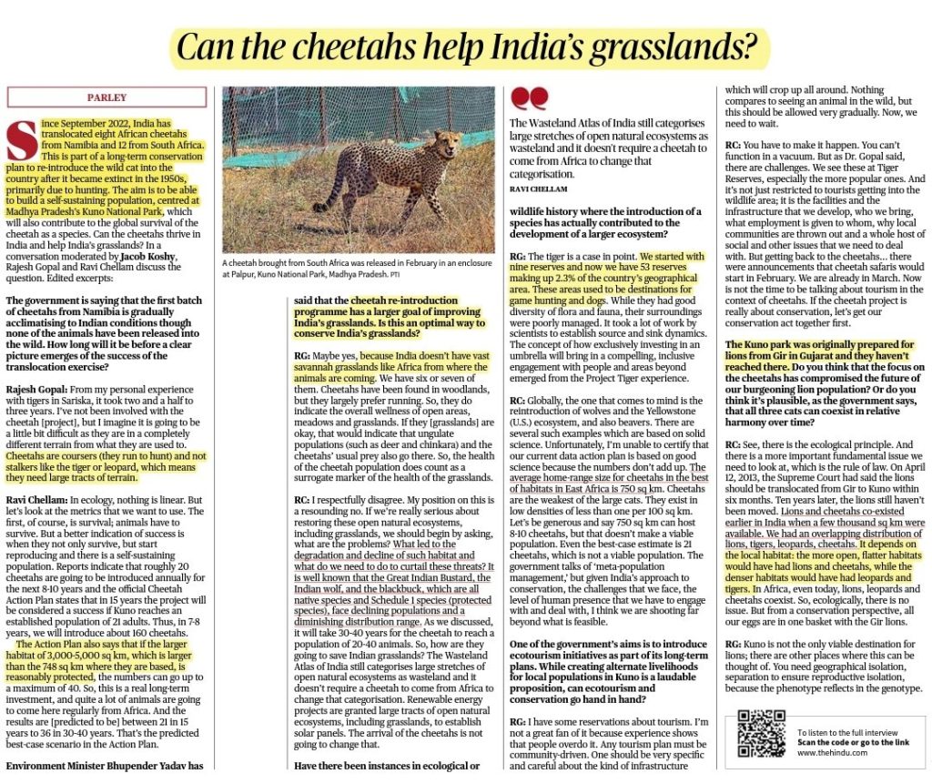 Can the cheetahs help India’s grasslands?